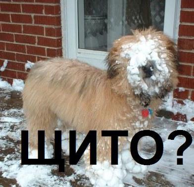 Рубимся!2